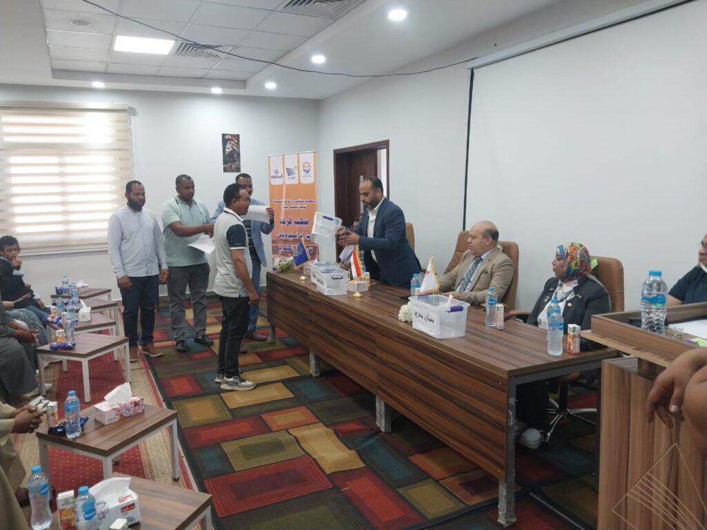 جمعية مستثمري الطاقة الشمسية ببنبان تدعم وتمكّن شباب قرى غرب النيل بتوزيع سيارات ميكروباص حديثة